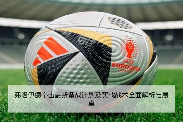 弗洛伊德拳击最新备战计划及实战战术全面解析与展望
